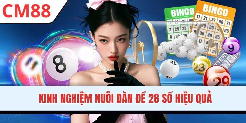 Nuôi dàn đề 28 hiệu quả giúp nhận thưởng khủng